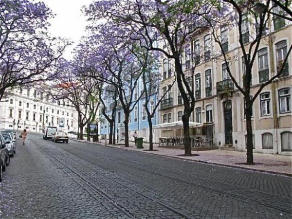 Avenida Dom Carlos I - Rua